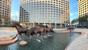 Apartment Locating Specialist Irving (3)