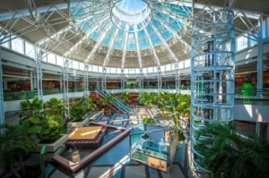 Apartment Locating Specialist Lewisville (3)